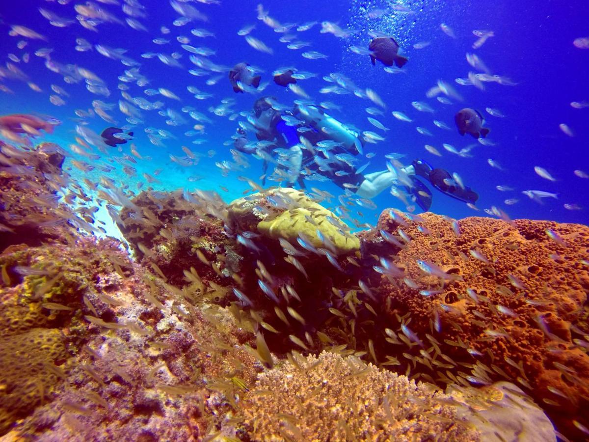 Anema Wellness & Resort Gili Lombok - Diving Center Padi Tanjung  Exterior foto