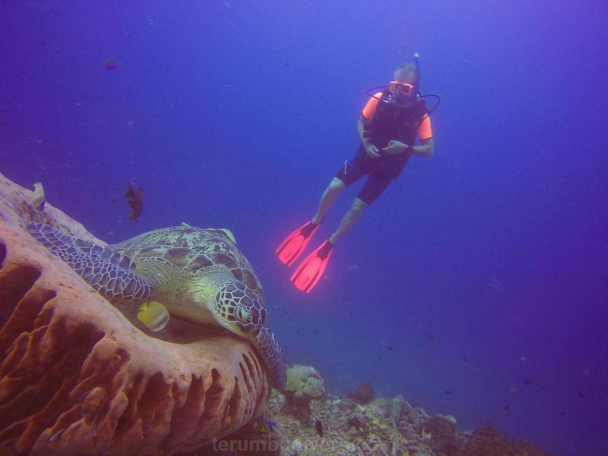 Anema Wellness & Resort Gili Lombok - Diving Center Padi Tanjung  Exterior foto